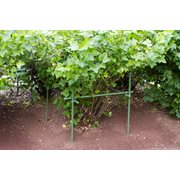 KEBAflexi-garden buskstöd;grön