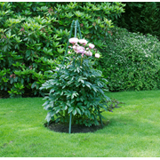 KEBAflexi-garden växtstöd;pyramid låg grön