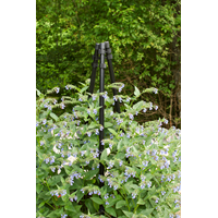 KEBAflexi-garden växtstöd;pyramid låg svart