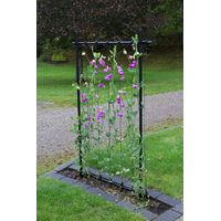 KEBAflexi-garden ramspaljé;800 mm grön