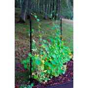 KEBAflexi-garden trådspaljé;0-2000 mm svart