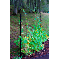 KEBAflexi-garden trådspaljé;0-2000 mm svart