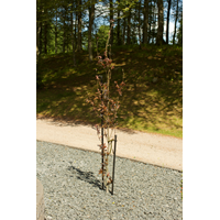 KEBAflexi-garden trädstöd;1x1200 mm svart